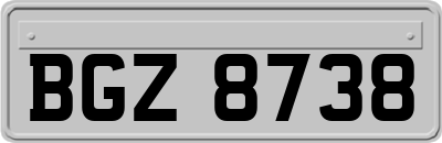 BGZ8738