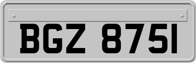BGZ8751