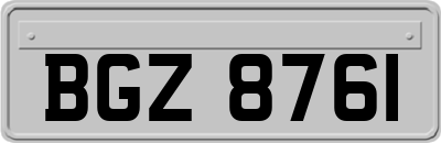 BGZ8761