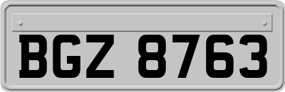 BGZ8763