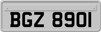 BGZ8901