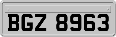BGZ8963