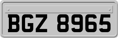BGZ8965