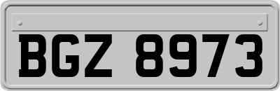 BGZ8973