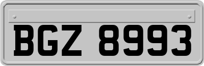 BGZ8993