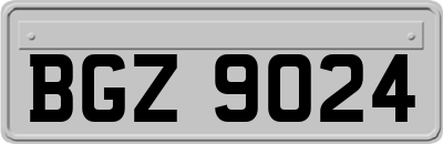 BGZ9024
