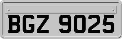 BGZ9025
