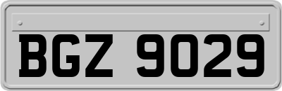 BGZ9029