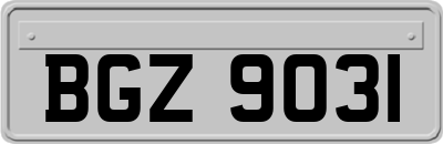 BGZ9031