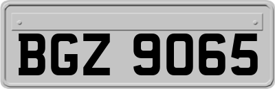 BGZ9065