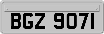 BGZ9071