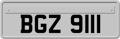 BGZ9111