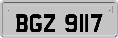 BGZ9117