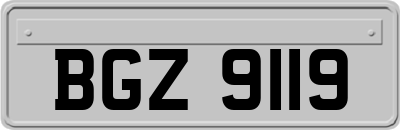 BGZ9119