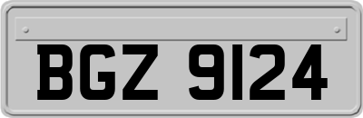 BGZ9124