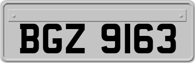 BGZ9163