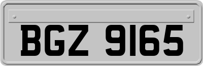 BGZ9165