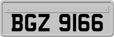 BGZ9166