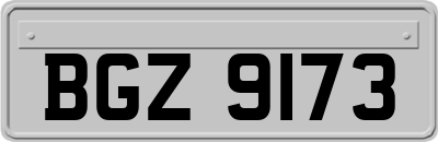 BGZ9173