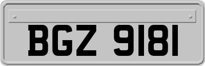 BGZ9181