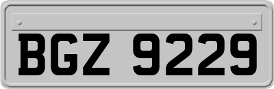 BGZ9229