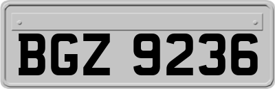 BGZ9236