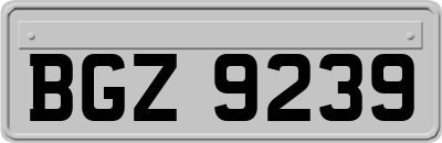 BGZ9239
