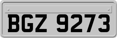 BGZ9273
