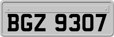 BGZ9307