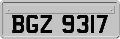 BGZ9317