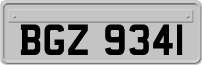 BGZ9341