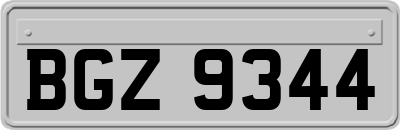 BGZ9344