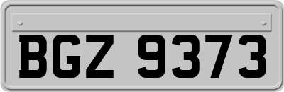 BGZ9373