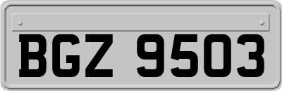BGZ9503