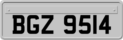 BGZ9514