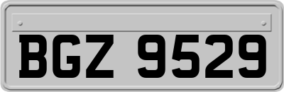 BGZ9529