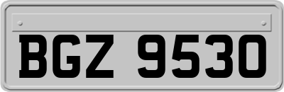 BGZ9530