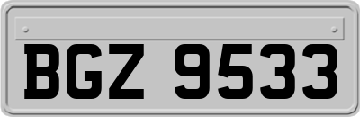 BGZ9533
