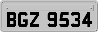 BGZ9534