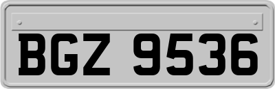 BGZ9536