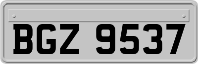 BGZ9537