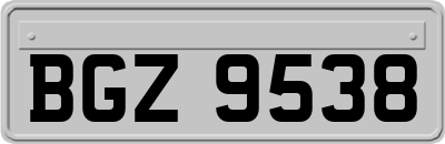 BGZ9538