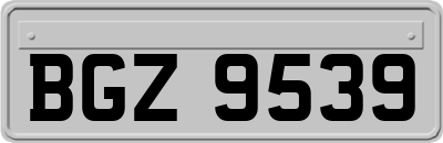BGZ9539
