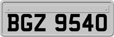 BGZ9540