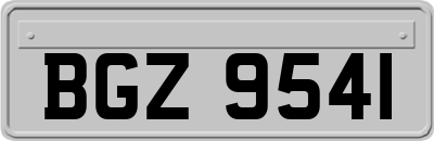BGZ9541