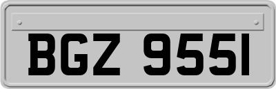 BGZ9551
