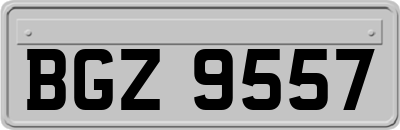 BGZ9557