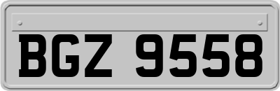 BGZ9558