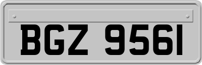 BGZ9561
