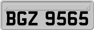 BGZ9565